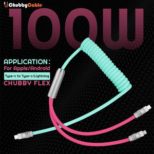 "Chubby Flex" 2 In 1 Spring ColorBlock Fast Charging Cable