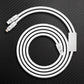 "Multi Chubby" 2 IN 1 100W Charge Cable